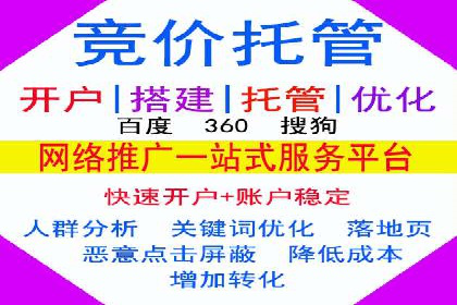 搜索引擎营销（SEM）成功运营的五大案例